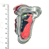DVH Michigan Fordite Specimen Polished Face Rough Chv Frd Jp (6186)