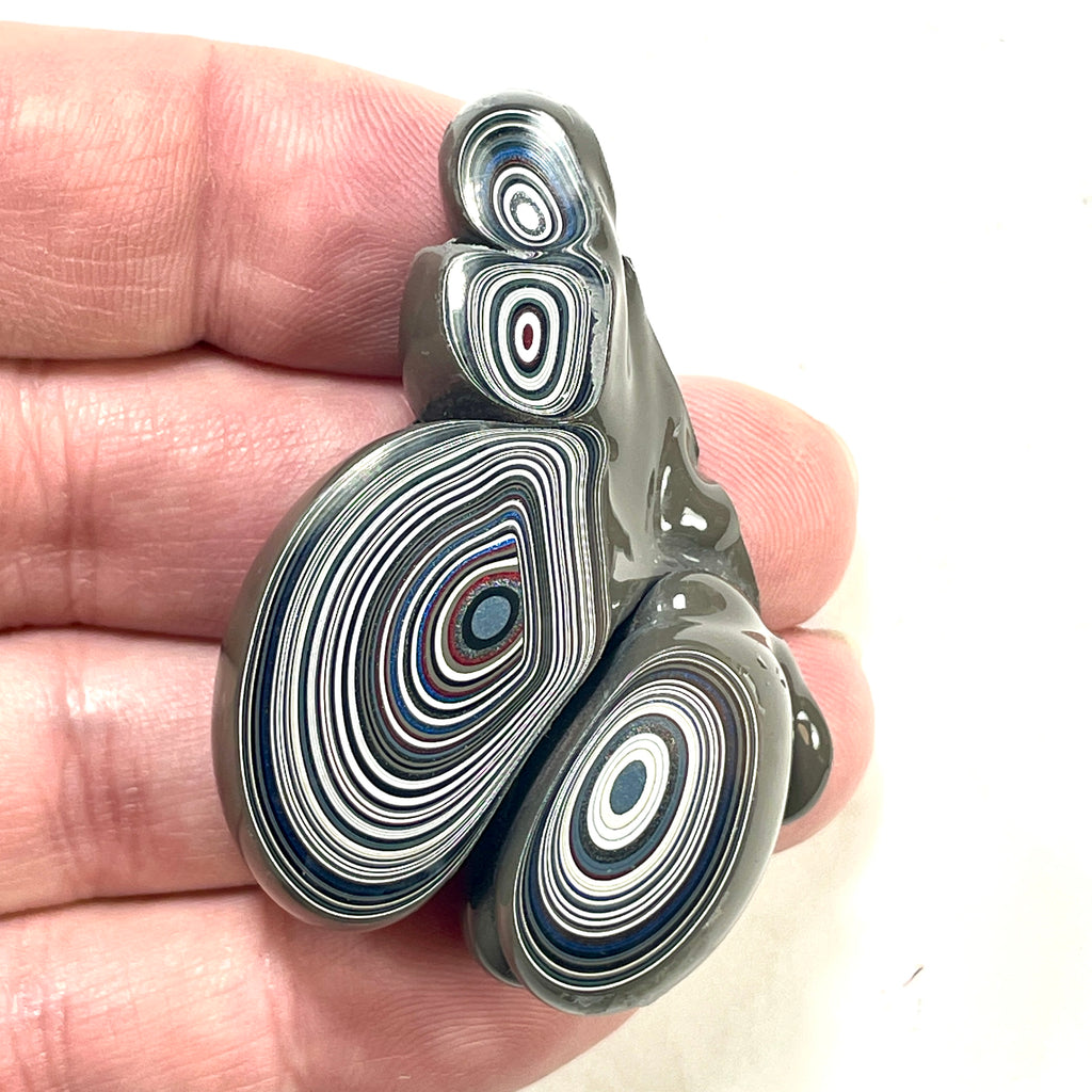 DVH Michigan Fordite Specimen Polished Face Rough Chv Frd Jp (6187)