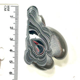 DVH Michigan Fordite Specimen Polished Face Rough Chv Frd Jp (6187)