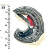 DVH Michigan Fordite Bulls Eye Rainbow Specimen Polished Face Chv Frd Jp (6188)