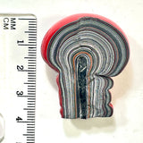 DVH Michigan Fordite Red Mushroom Specimen Polished Face Chv Frd Jp (6189)