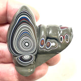 DVH Michigan Fordite Specimen Polished Face Rough Chv Frd Jp (6190)