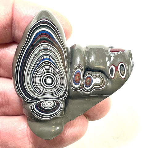 DVH Michigan Fordite Specimen Polished Face Rough Chv Frd Jp (6190)