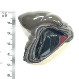 DVH Michigan Fordite Specimen Polished Face Rough Chv Frd Jp (6190)