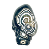 DVH Michigan Fordite Specimen Polished Face Rough Chv Frd Jp (6191)