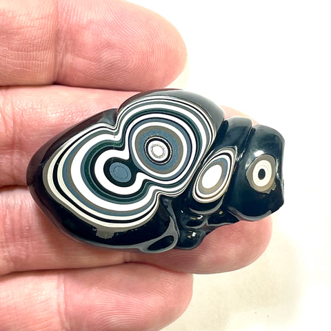 DVH Michigan Fordite Specimen Polished Face Rough Chv Frd Jp (6191)