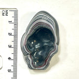 DVH Michigan Fordite Specimen Polished Face Rough Chv Frd Jp (6191)