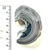 DVH Michigan Fordite Blue Bullseye Rainbow Specimen Polished Face Chv Frd Jp (6192)