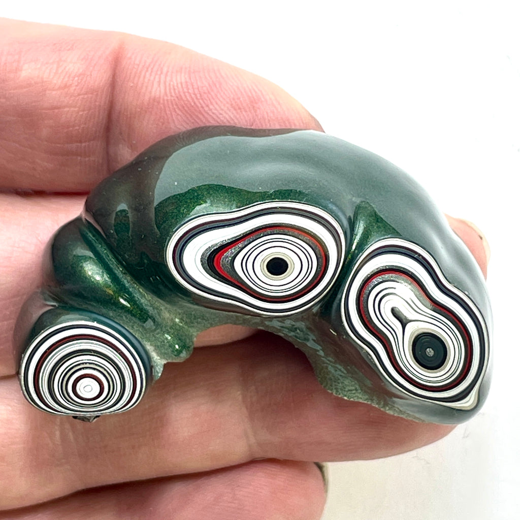 DVH Michigan Green Fordite Rare Partial Buck Hole Donut Specimen Polished Chv Frd Jp (6224)