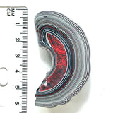 DVH Michigan Green Fordite Rare Partial Buck Hole Donut Specimen Polished Chv Frd Jp (6224)