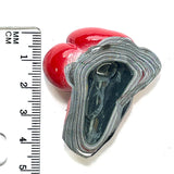 DVH Michigan Red Fordite Specimen Polished Face Rough Chv Frd Jp (6227)