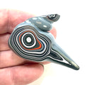 DVH Michigan Fordite Specimen Polished Face Rough Chv Frd Jp (6228) - DVHdesigns