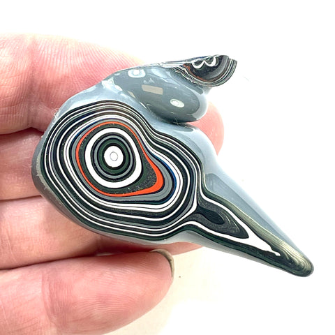 DVH Michigan Fordite Specimen Polished Face Rough Chv Frd Jp (6228)