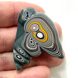 DVH Michigan Fordite Specimen Polished Face Rough Chv Frd Jp (6229)