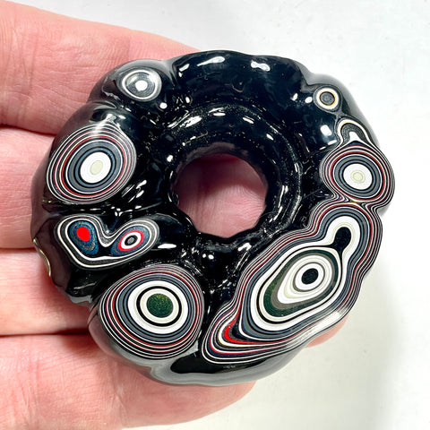 DVH Michigan Fordite Rare Buck Hole Donut Specimen Polished Face Rough Chv Frd Jp (6232)