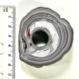 DVH Michigan Fordite Rare Buck Hole Donut Specimen Polished Face Rough Chv Frd Jp (6232)