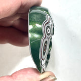 DVH Michigan Green Fordite Rare Buck Hole Donut Specimen Polished Chv Frd Jp (6233)