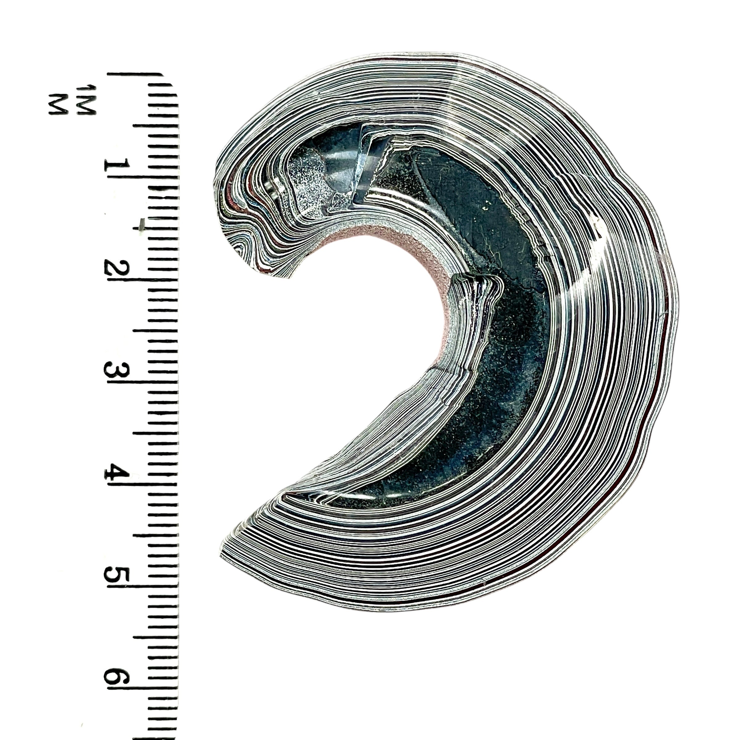 DVH Michigan Red Fordite 1/2 Buck Hole Donut Specimen Polished Face Chv Frd Jp (6235) - DVHdesigns