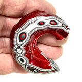 DVH Michigan Red Fordite 1/2 Buck Hole Donut Specimen Polished Face Chv Frd Jp (6235)