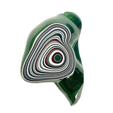 DVH Michigan Fordite Specimen Polished Face Rough Chv Frd Jp (6237)