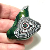 DVH Michigan Fordite Specimen Polished Face Rough Chv Frd Jp (6237)