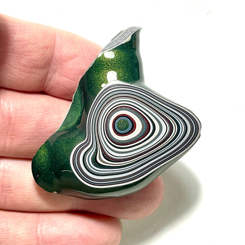 DVH Michigan Fordite Specimen Polished Face Rough Chv Frd Jp (6237)