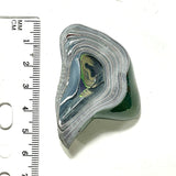 DVH Michigan Fordite Specimen Polished Face Rough Chv Frd Jp (6237)