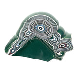 DVH Michigan Fordite Specimen Polished Face Rough Chv Frd Jp (6238)