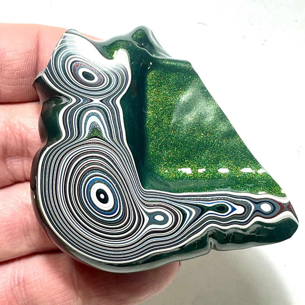 DVH Michigan Fordite Specimen Polished Face Rough Chv Frd Jp (6238)