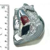 DVH Michigan Fordite Specimen Polished Face Rough Chv Frd Jp (6238)