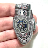 DVH Michigan Fordite Specimen Polished Face Rough Chv Frd Jp (6239)