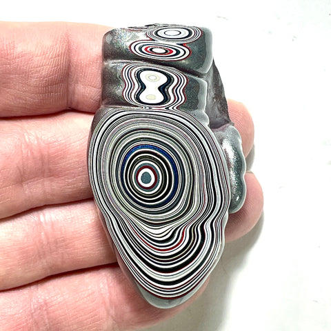 DVH Michigan Fordite Specimen Polished Face Rough Chv Frd Jp (6239)