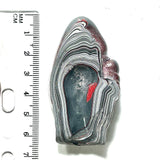 DVH Michigan Fordite Specimen Polished Face Rough Chv Frd Jp (6239)
