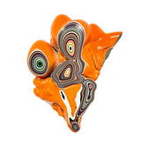 DVH Michigan Fordite Jeep Joose Orange Specimen Polished Face (6256)