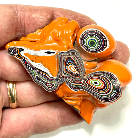 DVH Michigan Fordite Jeep Joose Orange Specimen Polished Face (6256)