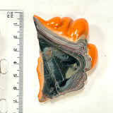 DVH Michigan Fordite Jeep Joose Orange Specimen Polished Face (6256)