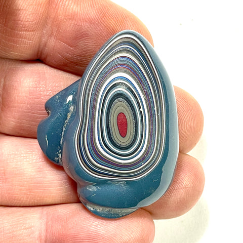 DVH Michigan Fordite Specimen Polished Face Rough Chv Frd Jp (6258)