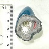 DVH Michigan Fordite Specimen Polished Face Rough Chv Frd Jp (6258)