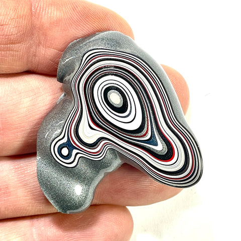 DVH Michigan Fordite Specimen Polished Face Rough Chv Frd Jp (6261)