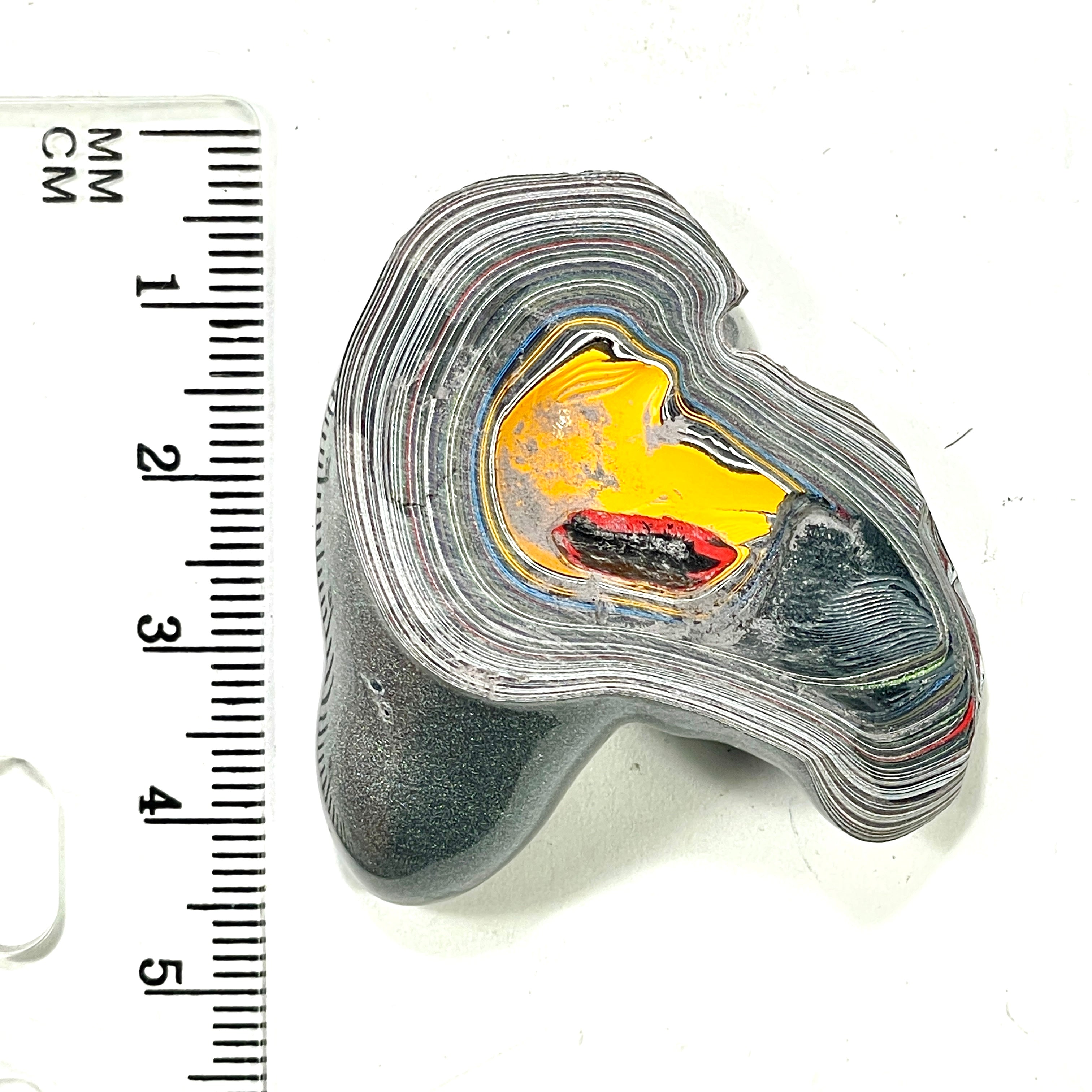 DVH Michigan Fordite Specimen Polished Face Rough Chv Frd Jp (6261) - DVHdesigns