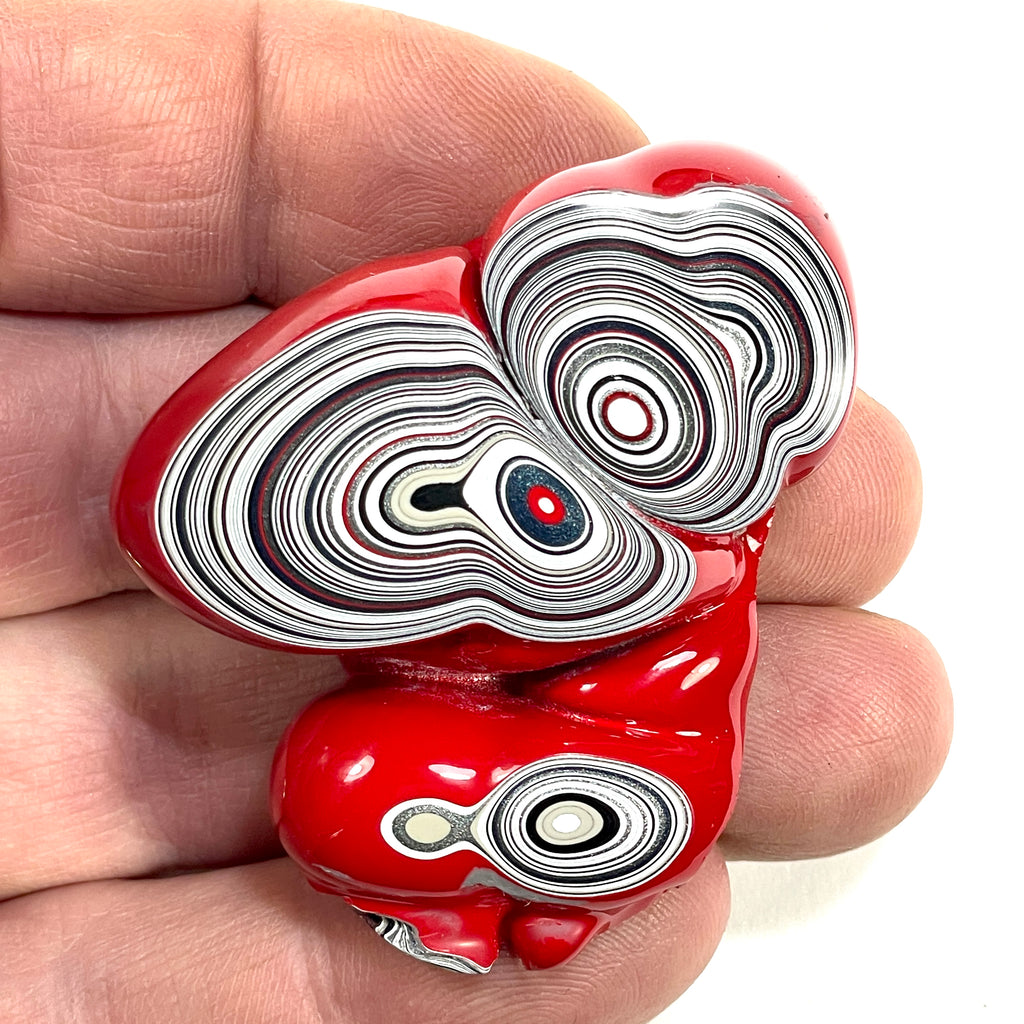 DVH Michigan Red Fordite Specimen Polished Face Chv Frd Jp (6264)