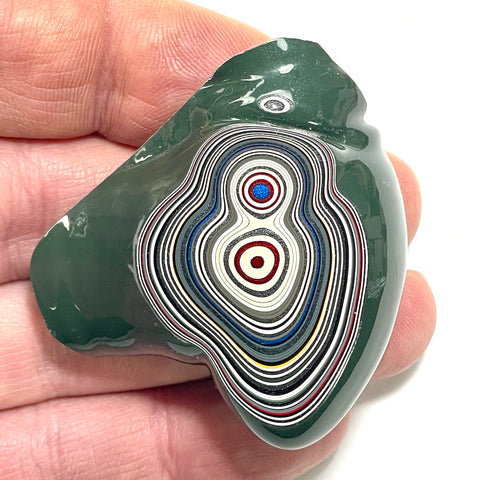 DVH Michigan Fordite Specimen Polished Face Rough Chv Frd Jp (6269)
