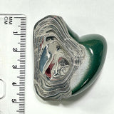 DVH Michigan Fordite Specimen Polished Face Rough Chv Frd Jp (6269)