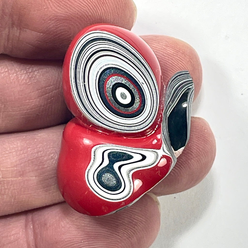 DVH Michigan Fordite Specimen Polished Face Rough Chv Frd Jp (6270) - DVHdesigns