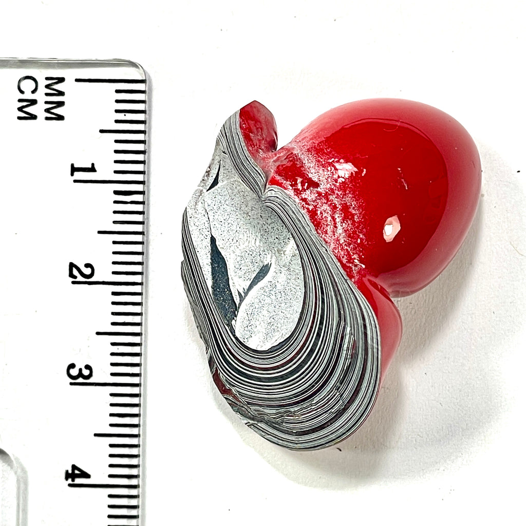 DVH Michigan Fordite Specimen Polished Face Rough Chv Frd Jp (6270) - DVHdesigns