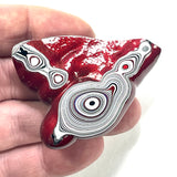 DVH Michigan Red Fordite Specimen Polished Face Rough Chv Frd Jp (6271)