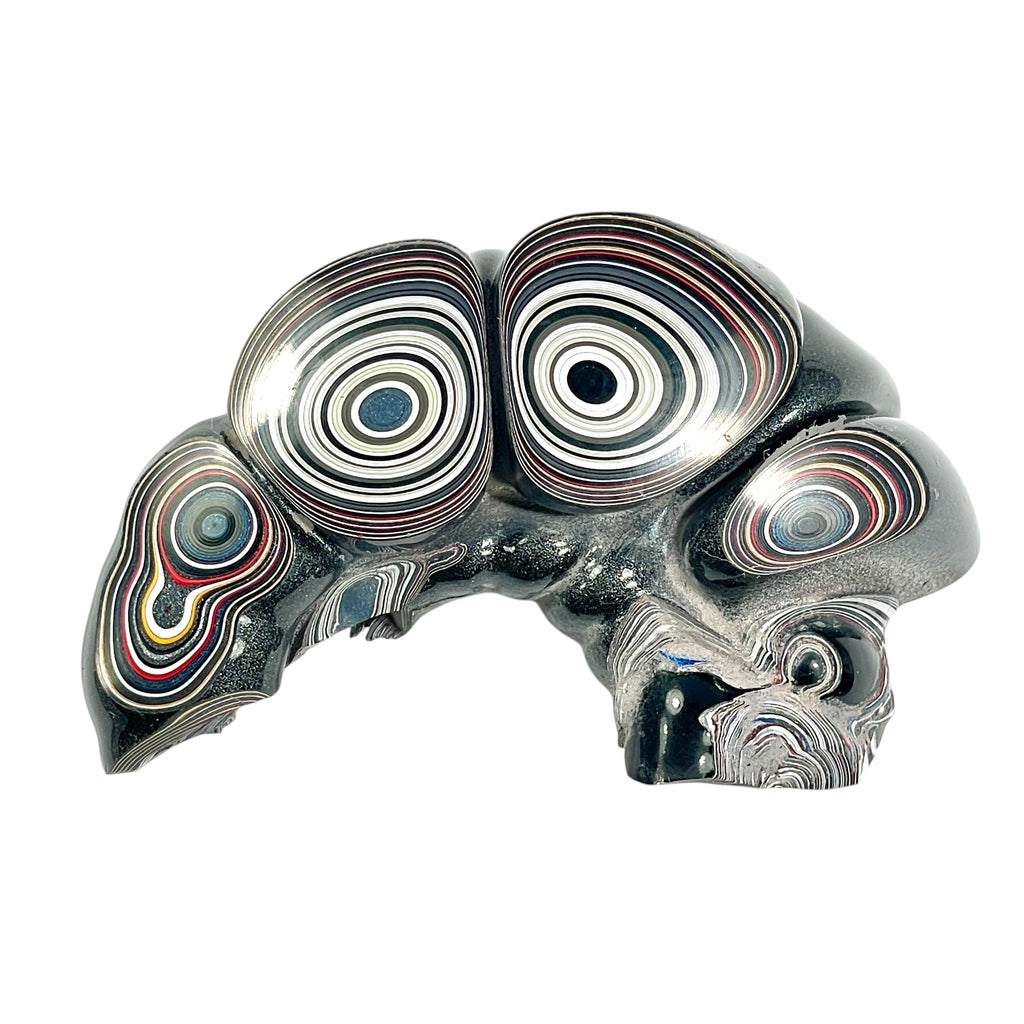 DVH Michigan  Fordite Specimen Polished Face Rough Chv Frd Jp (6272) - DVHdesigns