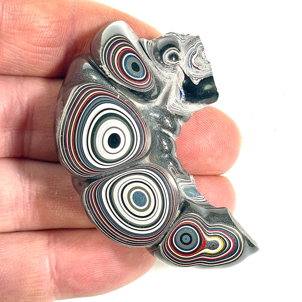 DVH Michigan  Fordite Specimen Polished Face Rough Chv Frd Jp (6272)