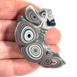 DVH Michigan  Fordite Specimen Polished Face Rough Chv Frd Jp (6272)