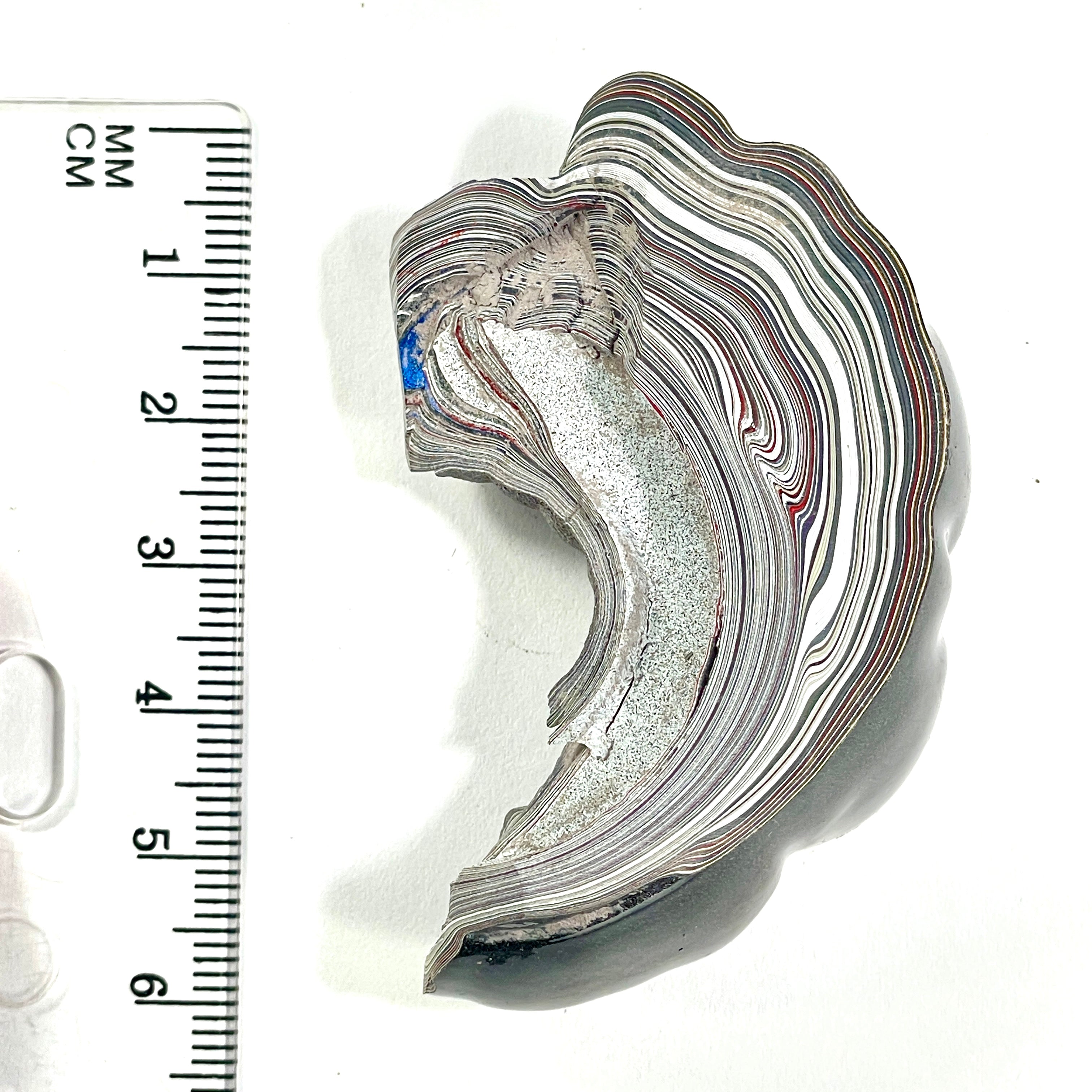 DVH Michigan  Fordite Specimen Polished Face Rough Chv Frd Jp (6272) - DVHdesigns